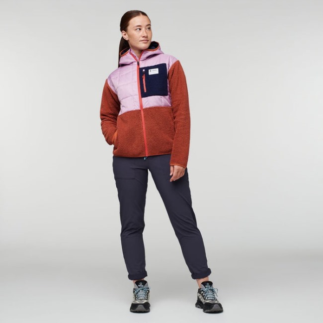 Hot Thistle-spice Cotopaxi Trico Hybridjacke Damen