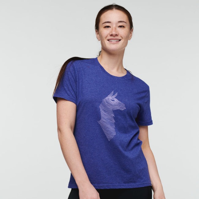 Cotopaxi Brands Topo Lama T-shirt Damen Blau Violett