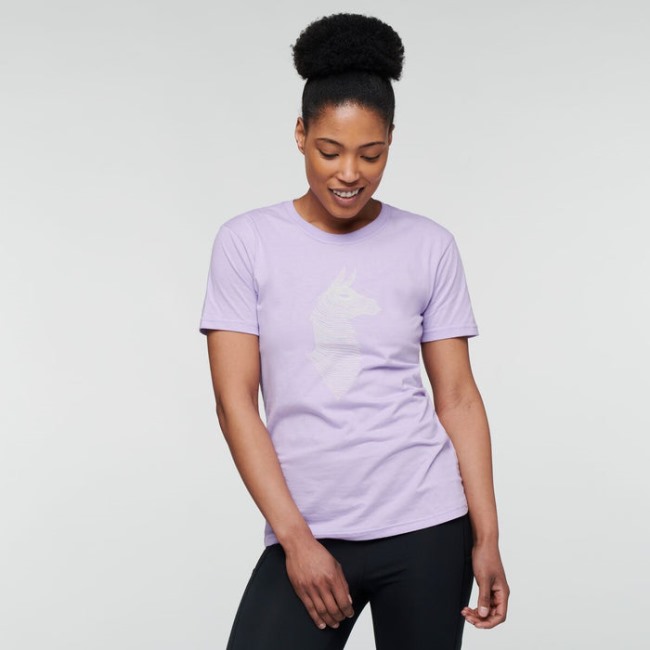 Cotopaxi Original Distel Topo Lama T-Shirt Damen