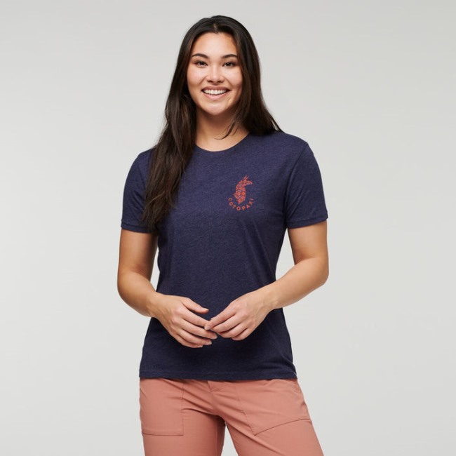 Maritime Kollektionen Lama Lover Bio T-shirt Damen Cotopaxi