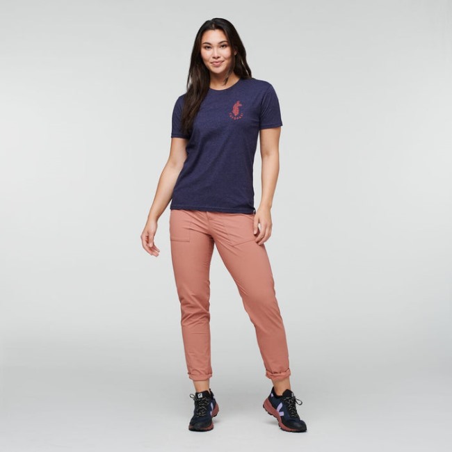 Maritime Kollektionen Lama Lover Bio T-shirt Damen Cotopaxi