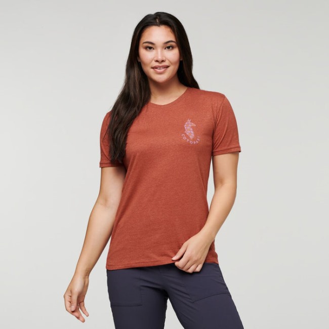 Spice Lama Lover Bio T-shirt Damen Cotopaxi Origin