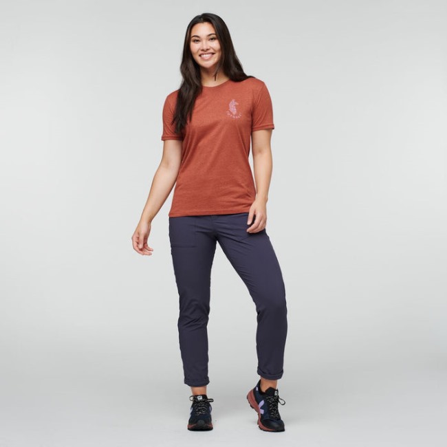 Spice Lama Lover Bio T-shirt Damen Cotopaxi Origin