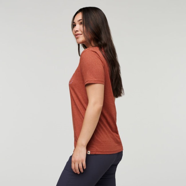 Spice Lama Lover Bio T-shirt Damen Cotopaxi Origin