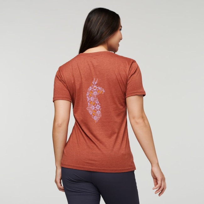 Spice Lama Lover Bio T-shirt Damen Cotopaxi Origin