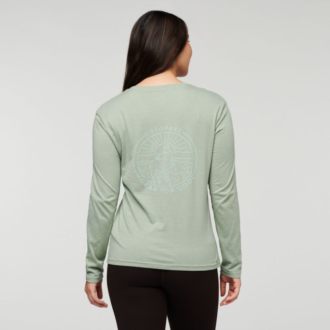 Brand Hello Llama Langarm Bio T-shirt Damen Cotopaxi Blattsilber