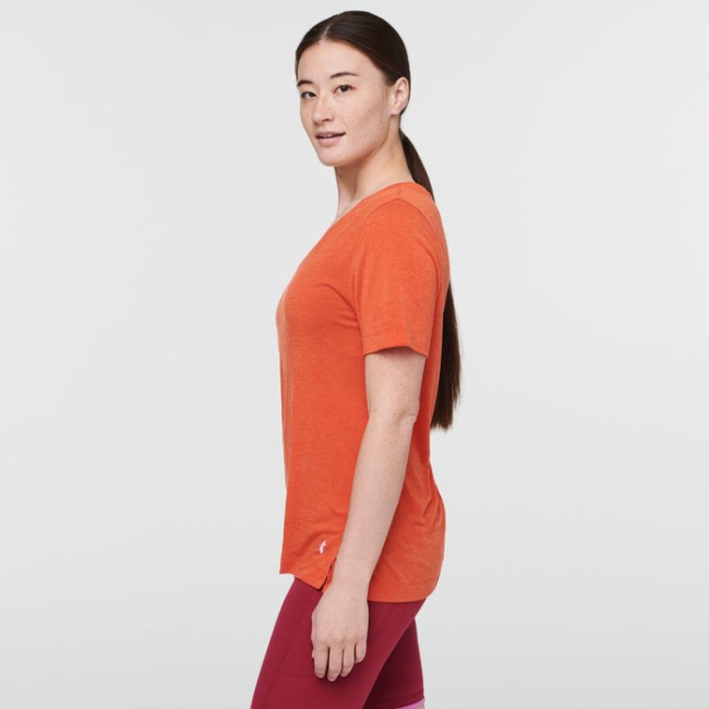 Original Paseo Reiset-shirt Damen Cotopaxi Canyon