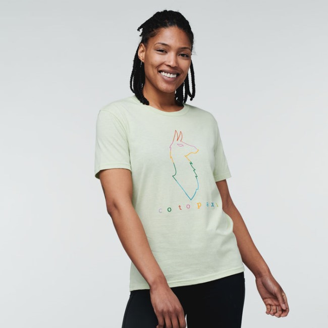 Beste Cotopaxi Flechten Elektrische Lama T-shirt Frauen
