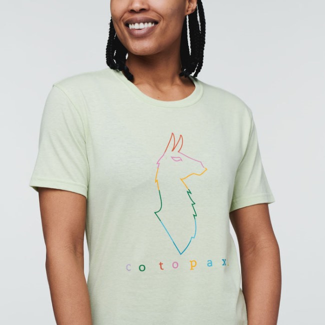 Beste Cotopaxi Flechten Elektrische Lama T-shirt Frauen