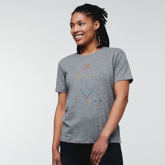 New Cotopaxi Electric Llama T-shirt Damen Grau Meliert
