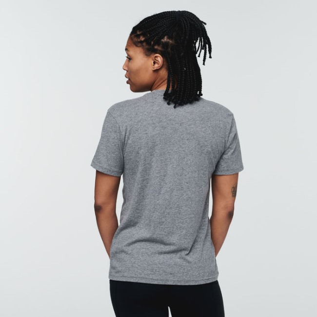 New Cotopaxi Electric Llama T-shirt Damen Grau Meliert