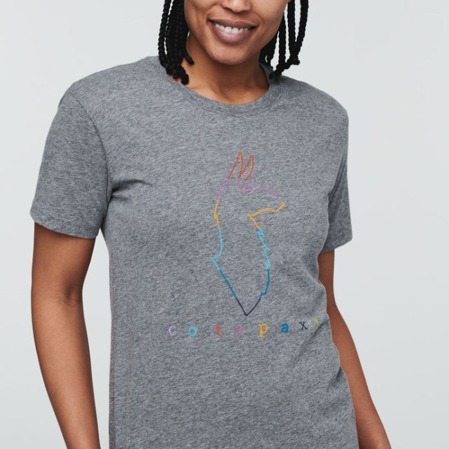 New Cotopaxi Electric Llama T-shirt Damen Grau Meliert