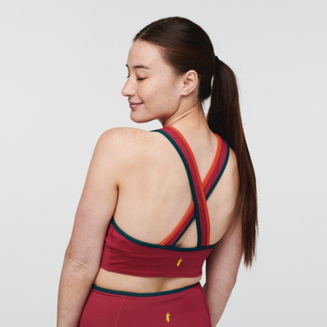 Origin Himbeere Mari Crop Top Damen Cotopaxi