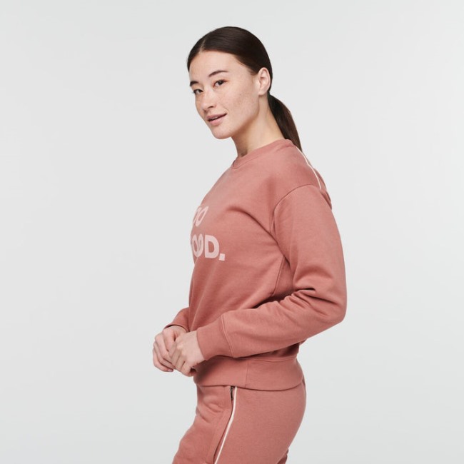 Earthen Hot Do Good Crew Sweatshirt Damen Cotopaxi
