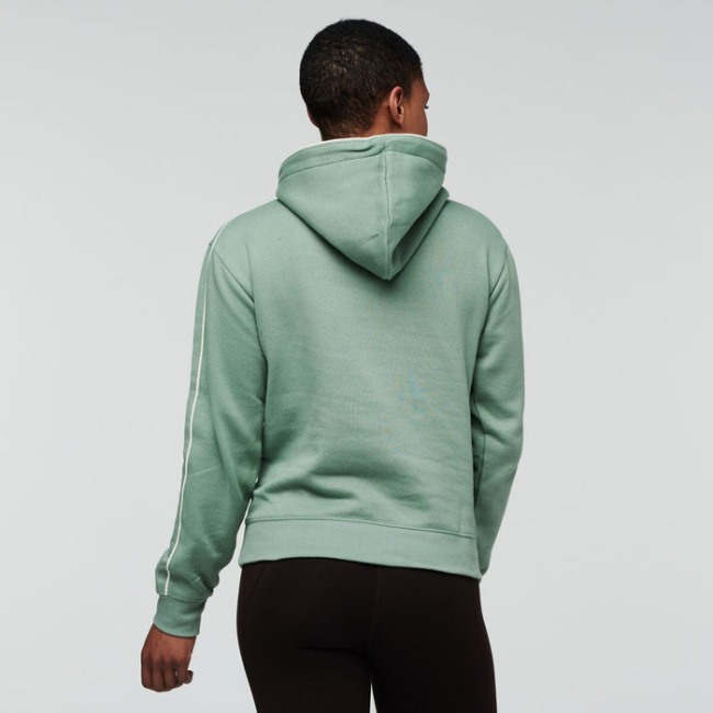 Cotopaxi Origins Silver Leaf Sunny Side Bio-Pullover Hoodie Damen