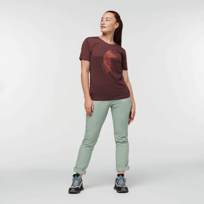 Brand Cotopaxi Salto Ripstop Hose Damen Silver Leaf