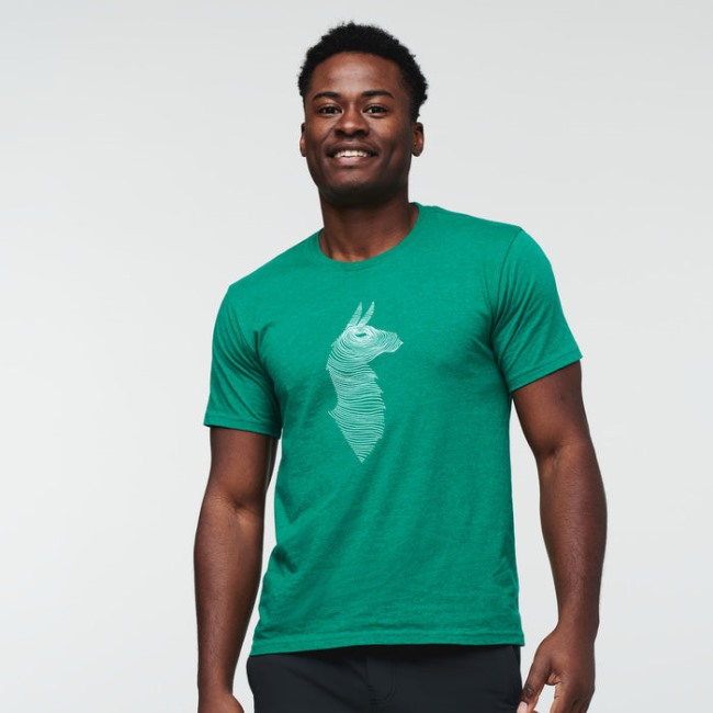 Grüne Mode Cotopaxi Maulwurf Lama T-Shirt Männer