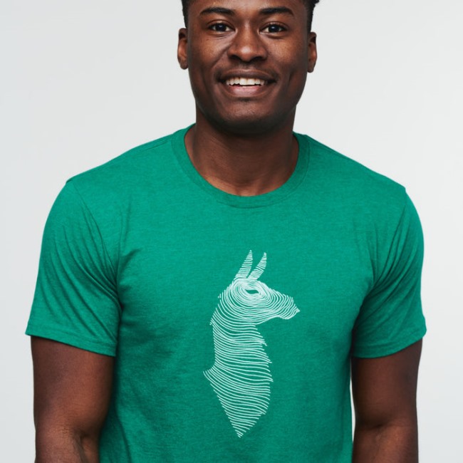 Grüne Mode Cotopaxi Maulwurf Lama T-Shirt Männer