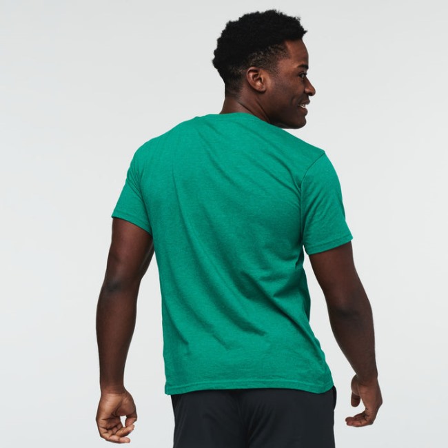 Grüne Mode Cotopaxi Maulwurf Lama T-Shirt Männer