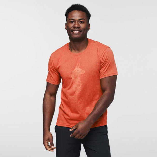 Canyon Topo Lama T-shirt Herren Cotopaxi Kollektionen