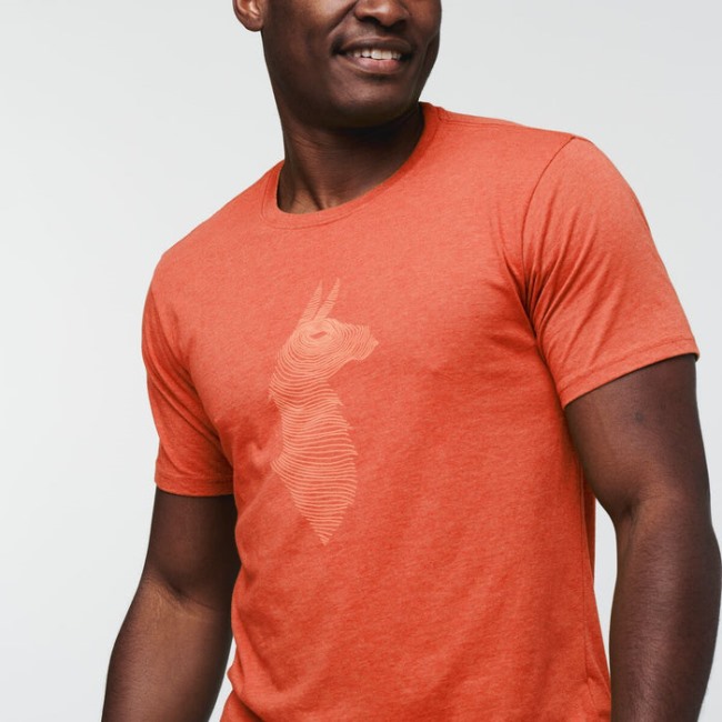 Canyon Topo Lama T-shirt Herren Cotopaxi Kollektionen