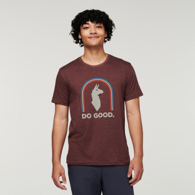 Original Sunshine Do Good Organic T-Shirt Herren Chestnut Cotopaxi