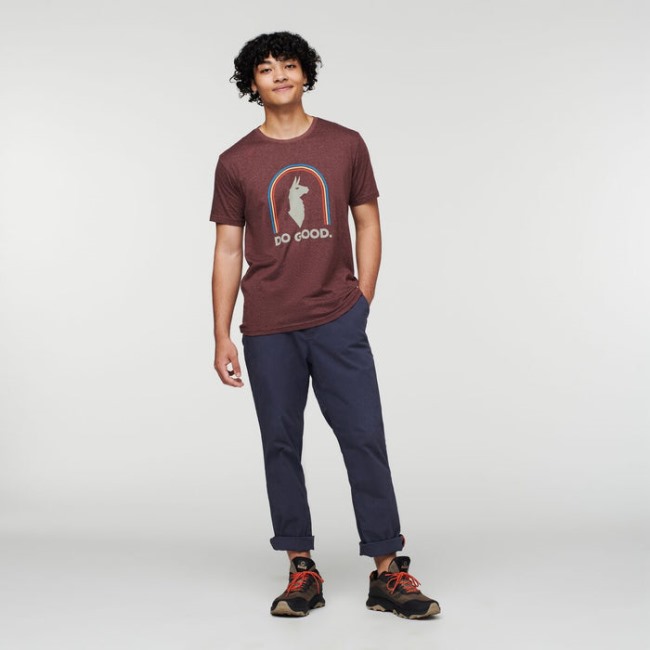 Original Sunshine Do Good Organic T-Shirt Herren Chestnut Cotopaxi