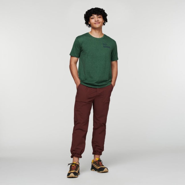 Best Cotopaxi Wild West Bio T-shirt Herren Wald