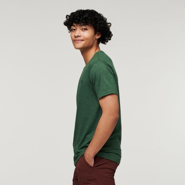 Best Cotopaxi Wild West Bio T-shirt Herren Wald