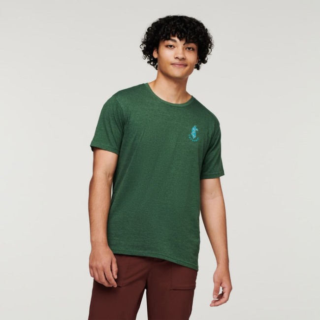 Fashion Forest Lama Lover Bio T-shirt Herren Cotopaxi