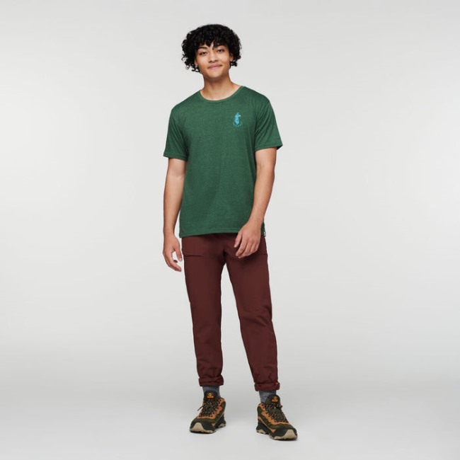 Fashion Forest Lama Lover Bio T-shirt Herren Cotopaxi