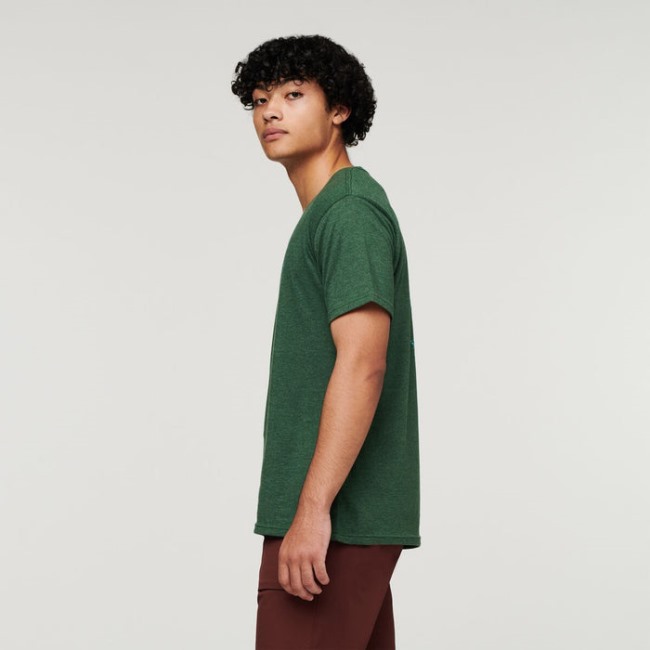 Fashion Forest Lama Lover Bio T-shirt Herren Cotopaxi