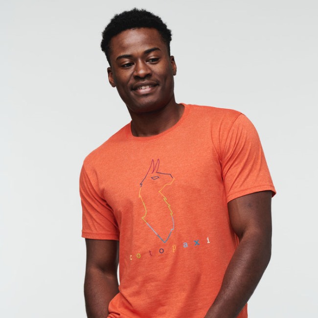 Electric Llama T-shirt Herren Canyon Cotopaxi Herkunft