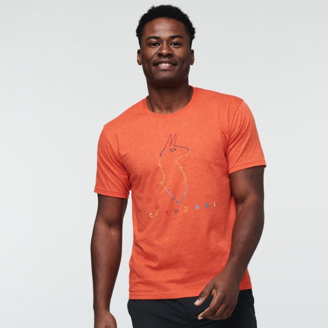 Electric Llama T-shirt Herren Canyon Cotopaxi Herkunft