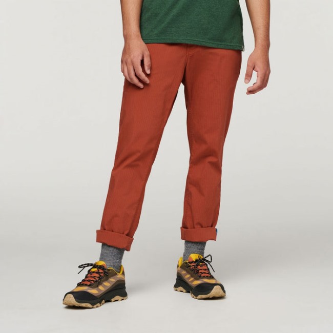 Cotopaxi Salto Ripstop Hose Herren Spice Fashion