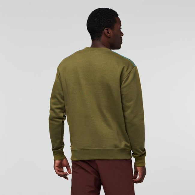 Cotopaxi Kollektion Eiche Am Horizont Organisches Rundes Sweatshirt Herren