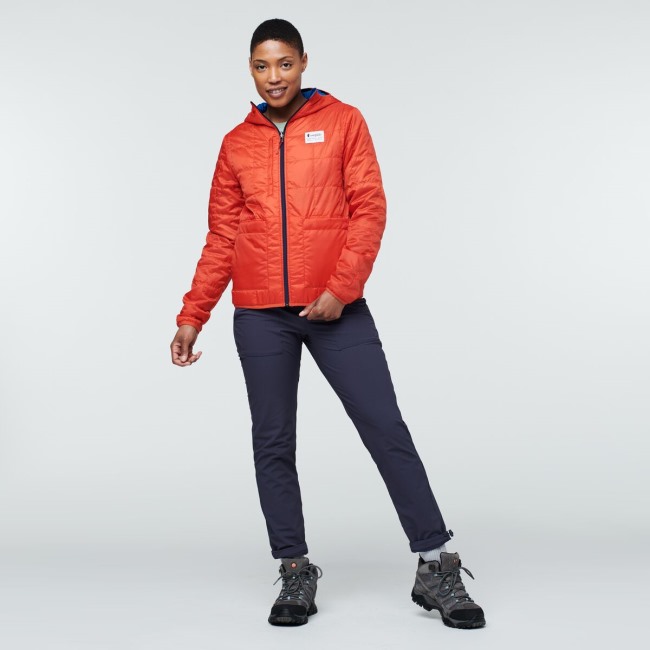 Cotopaxi Teak Warme Kapuzenjacke Damen Original Rocket Science