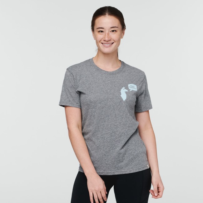 Have A Good Day T-shirt Damen Cotopaxi Grau Meliert Kollektionen