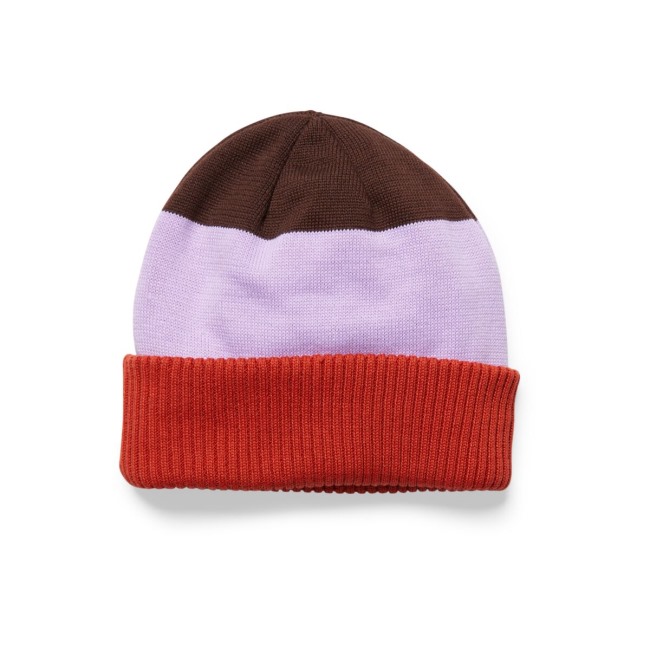 Gewürzdistelkollektionen Cotopaxi Alto Beanie